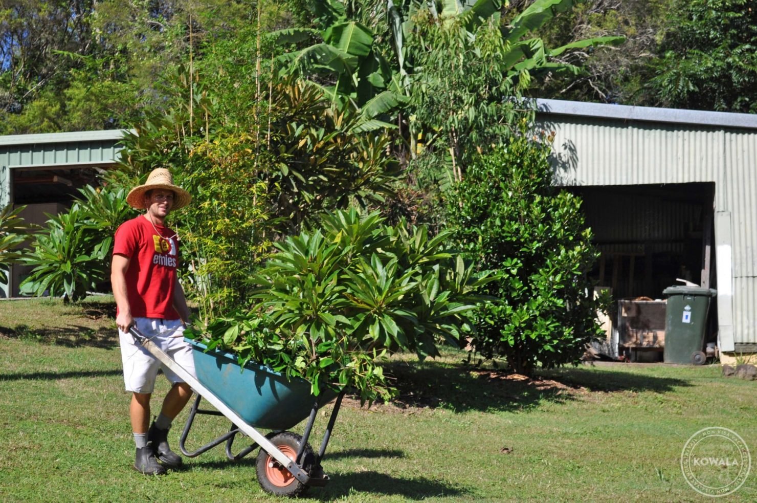 jardinage à Larnook - helpx wwoofing australie - kowala.fr