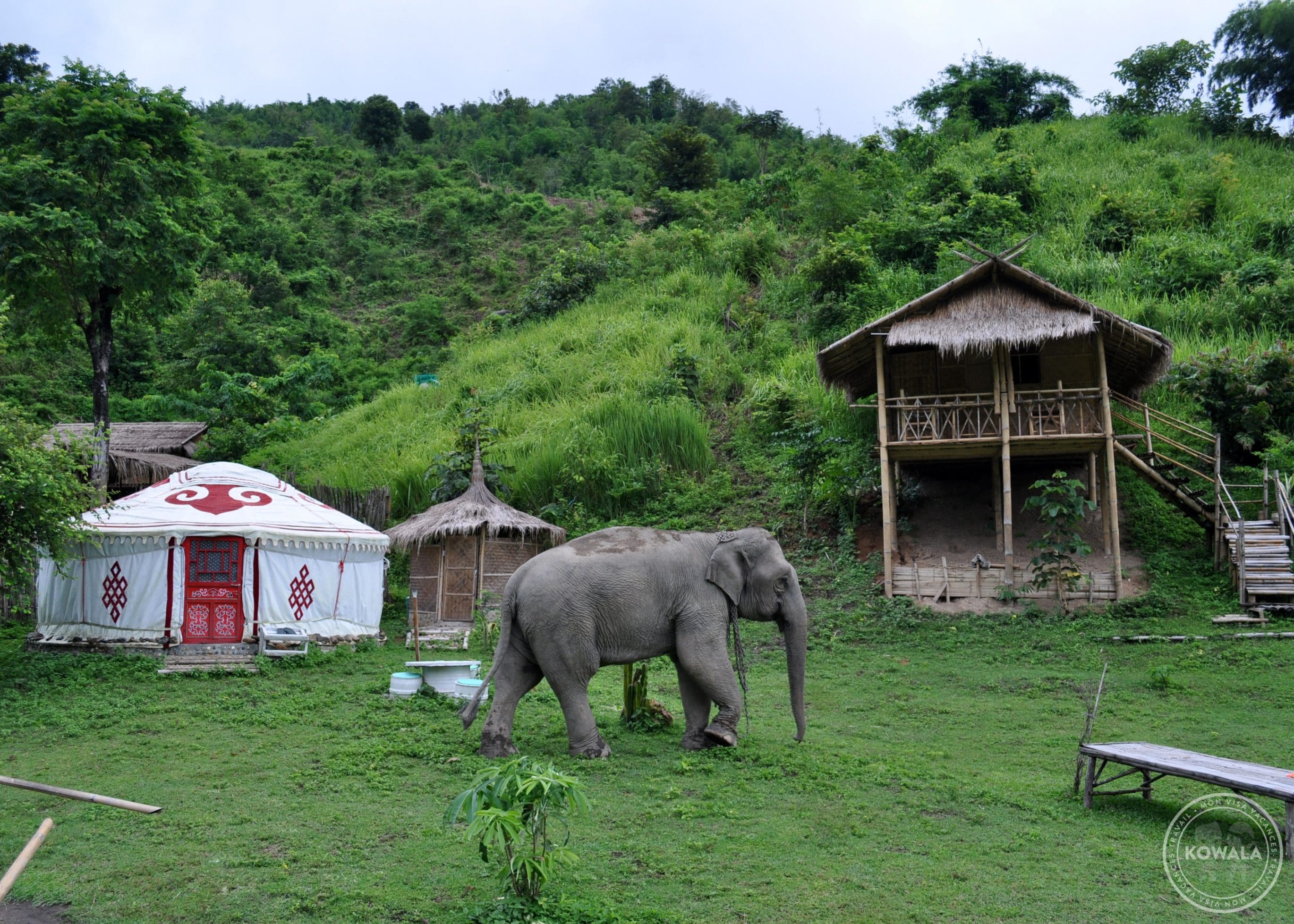 Thai apache guesthouse