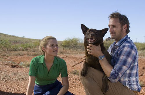 meilleurs films cinema australie - Red Dog - kowala.fr © Woss Group Film Production