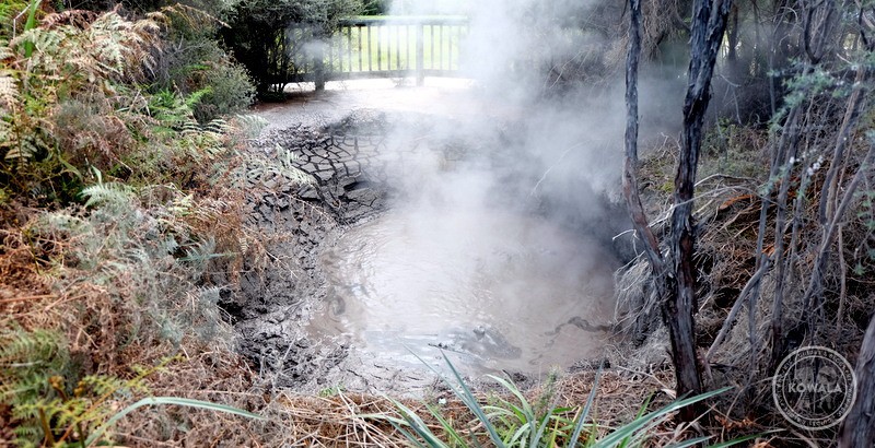 Marre de boue à Rotorua
