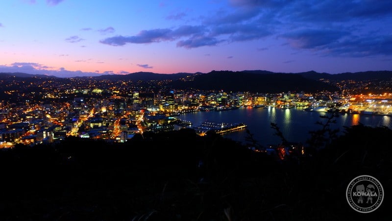 Vue panoramique de Wellington de nuit