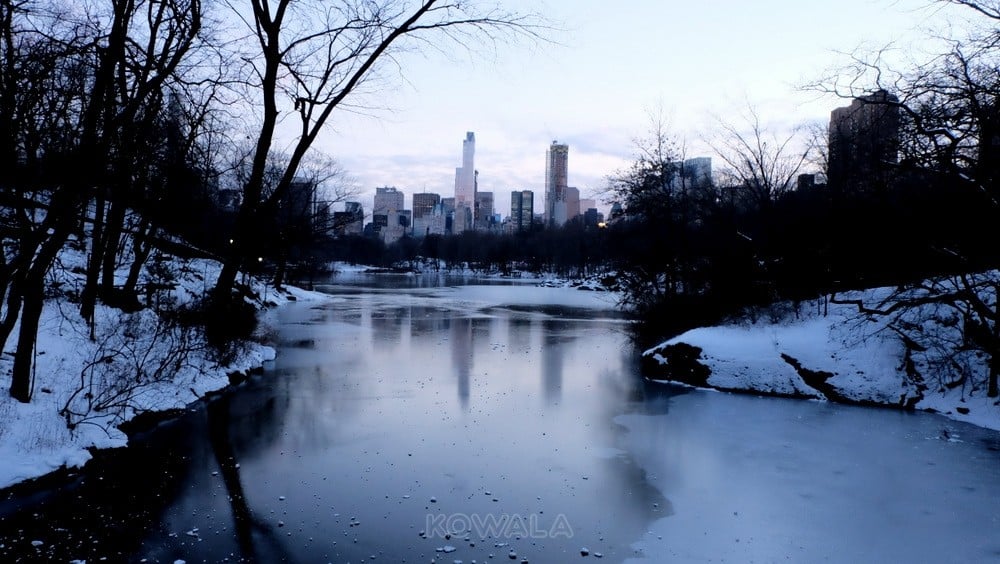 visite de New York en hiver et en 5 jours : central park en hiver