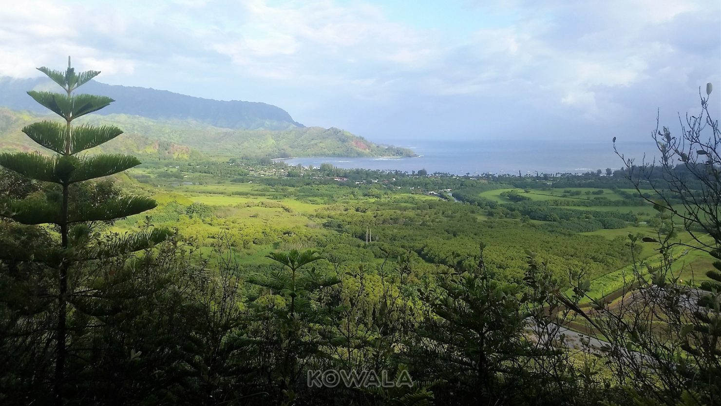 vue panoramique sur la baie hanalei de maui