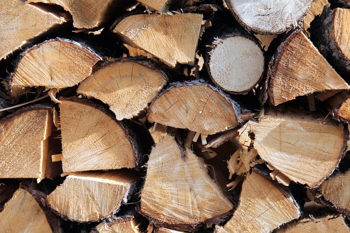 pile de bois pour l'hiver