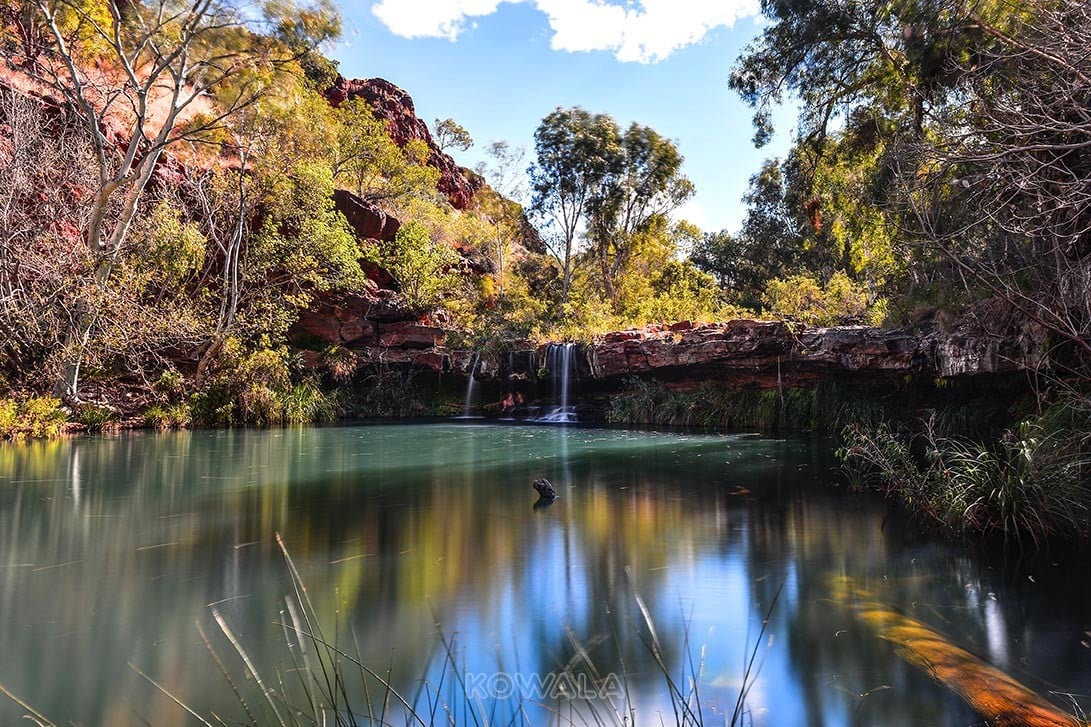 Fern pool karijini national park western australia pvt