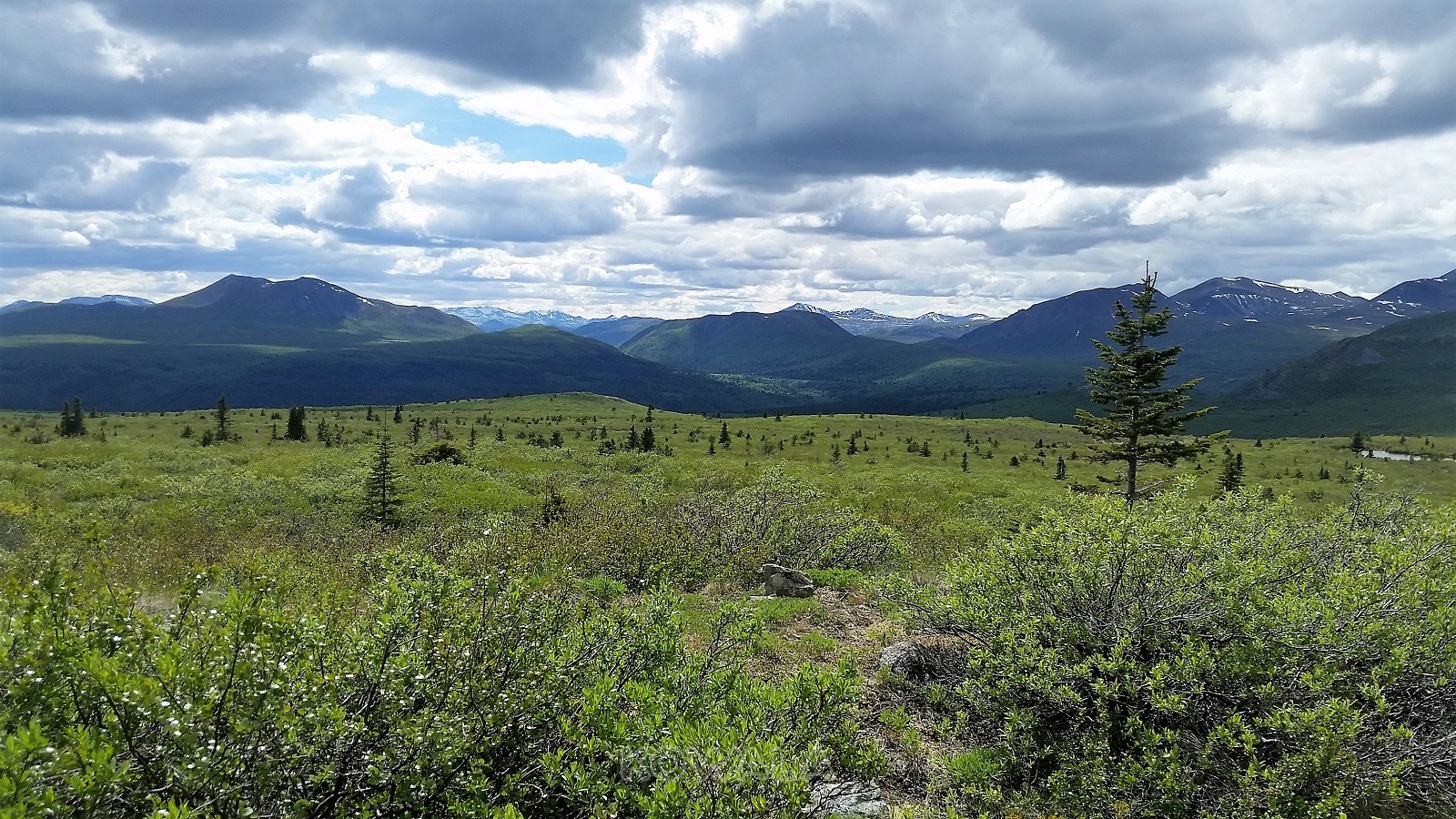 randonnées en été au Yukon - Golden Horn
