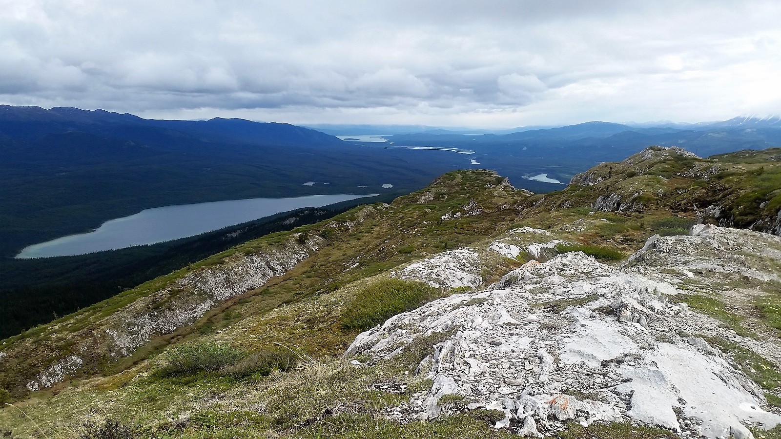randonnées en été au Yukon - Grey Mountain