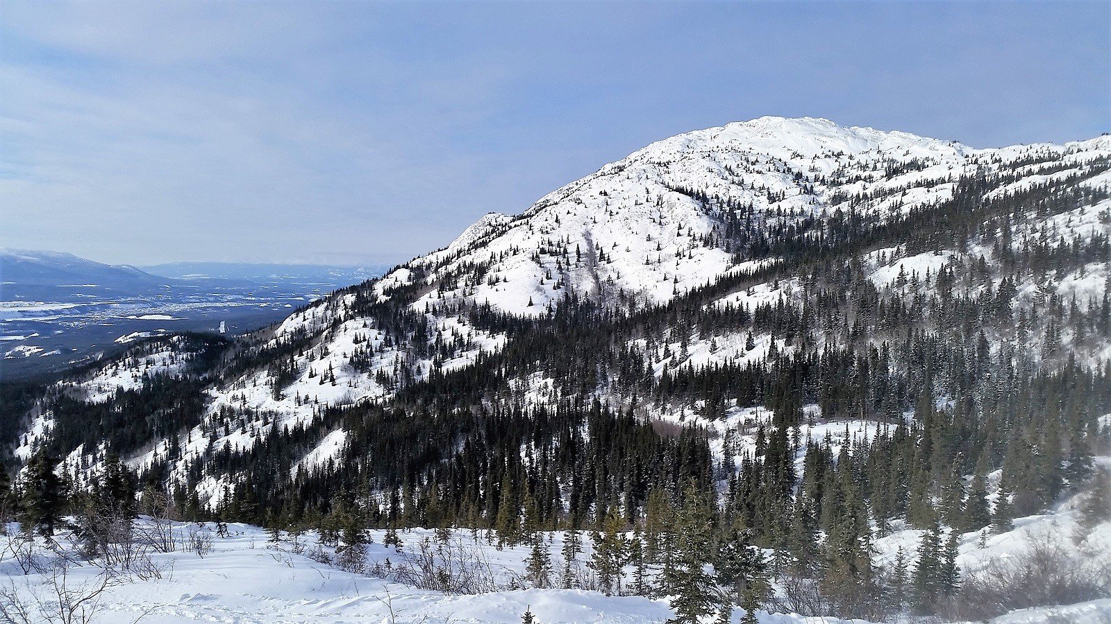 randonnées en hiver au Yukon - Grey Mountain