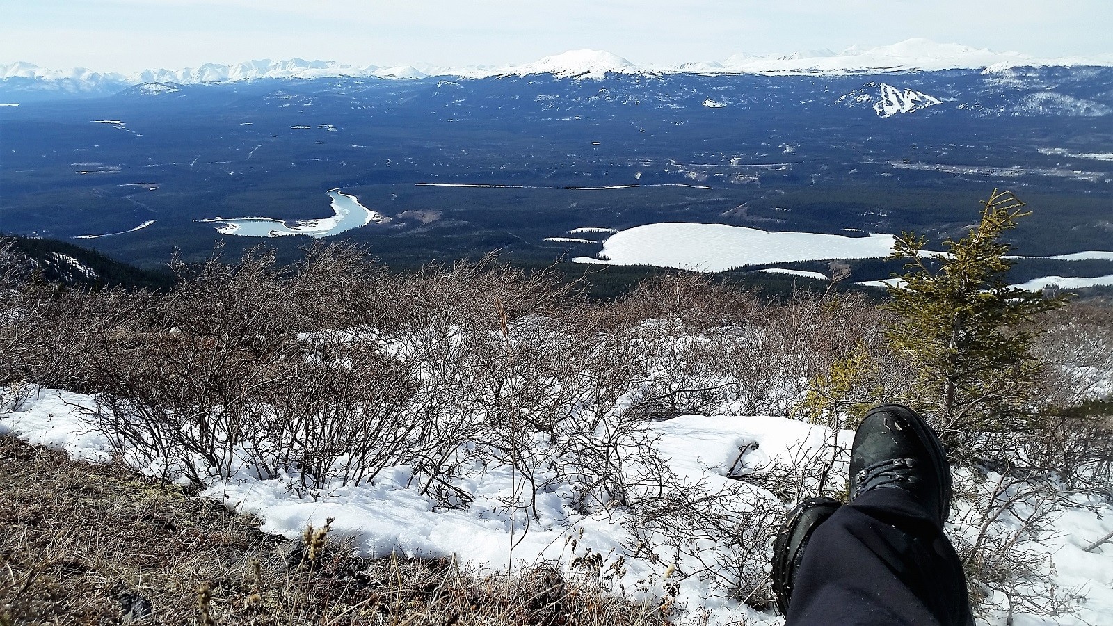 randonnées en hiver au Yukon - Grey Mountain