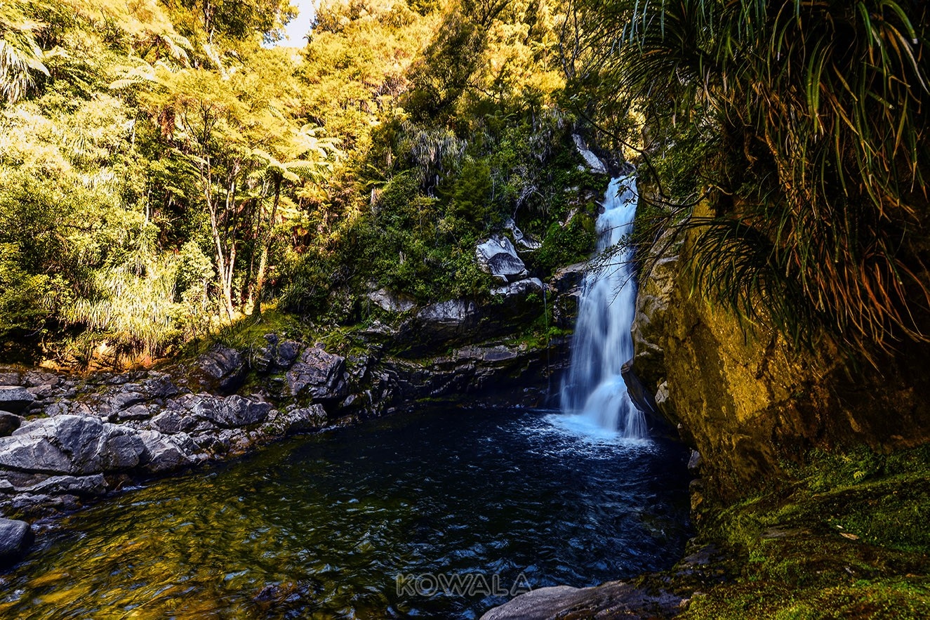 Abel Tasman voyage pvt whv nouvelle zélande new zealand road trip backpacker national park nature paysage