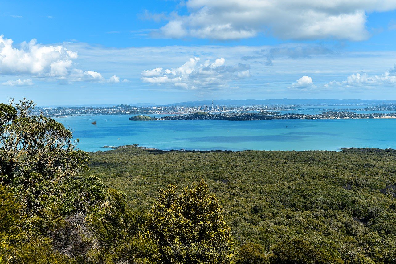 Rangitoto Island Auckland voyage pvt whv nouvelle zélande new zealand road trip backpacker national park nature paysage