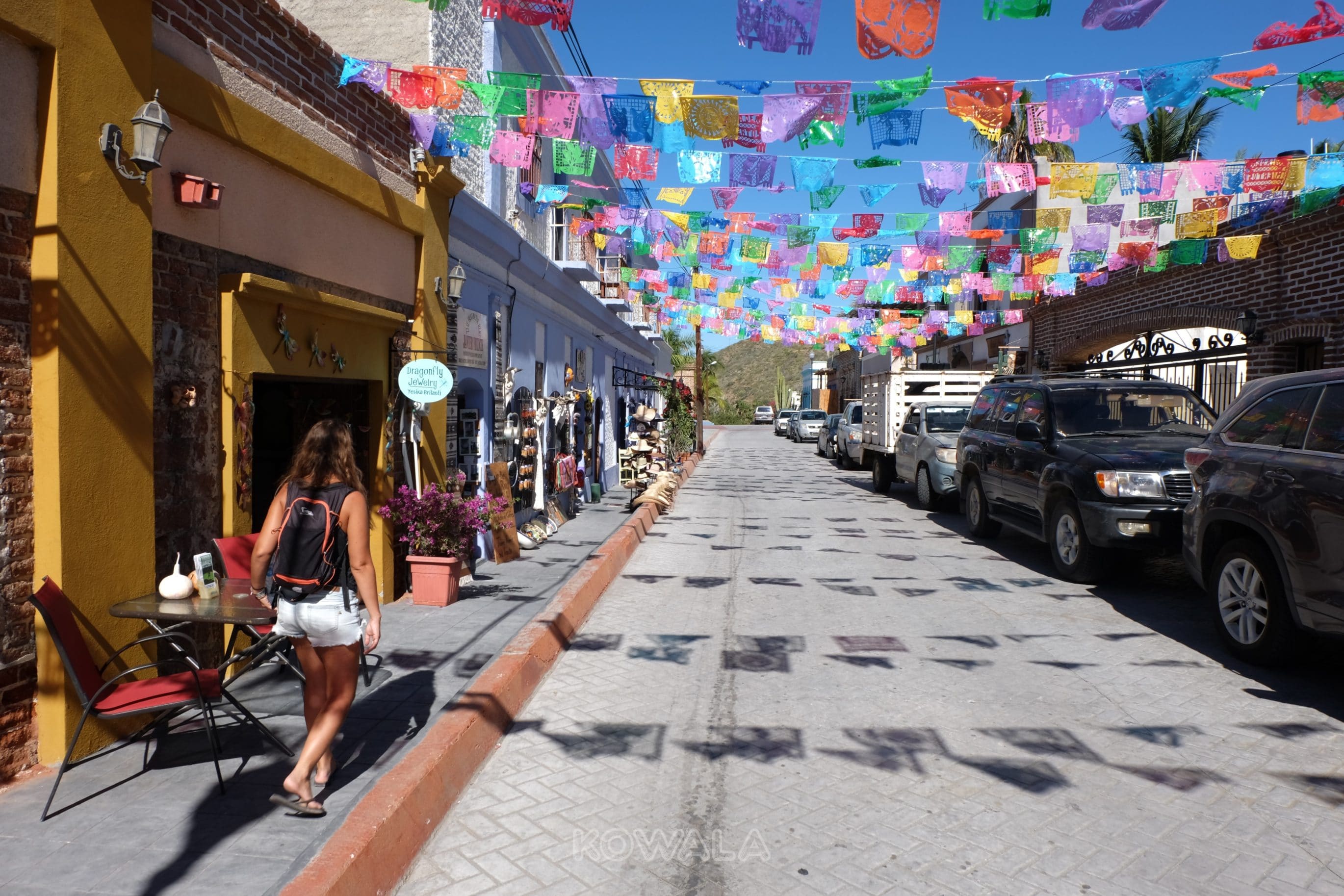 Promenade dans les rues colorés de Todos Santos