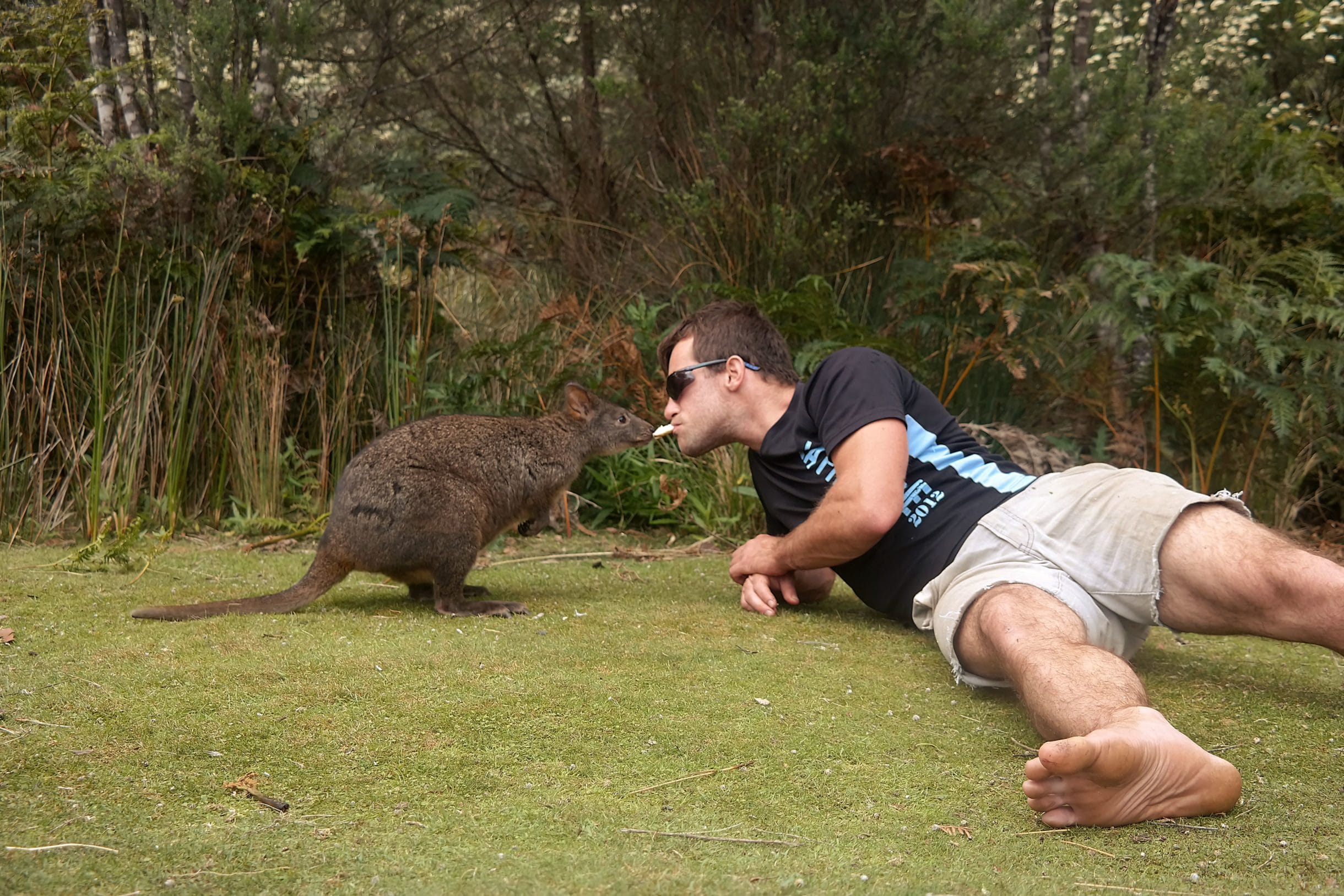 2 Ans De Pvt Australie Le Temoignage De Raphael Kowala