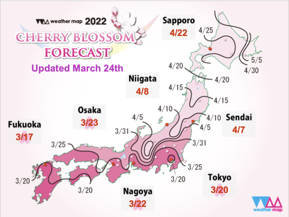 Carte floraison cerisier Japon 2022