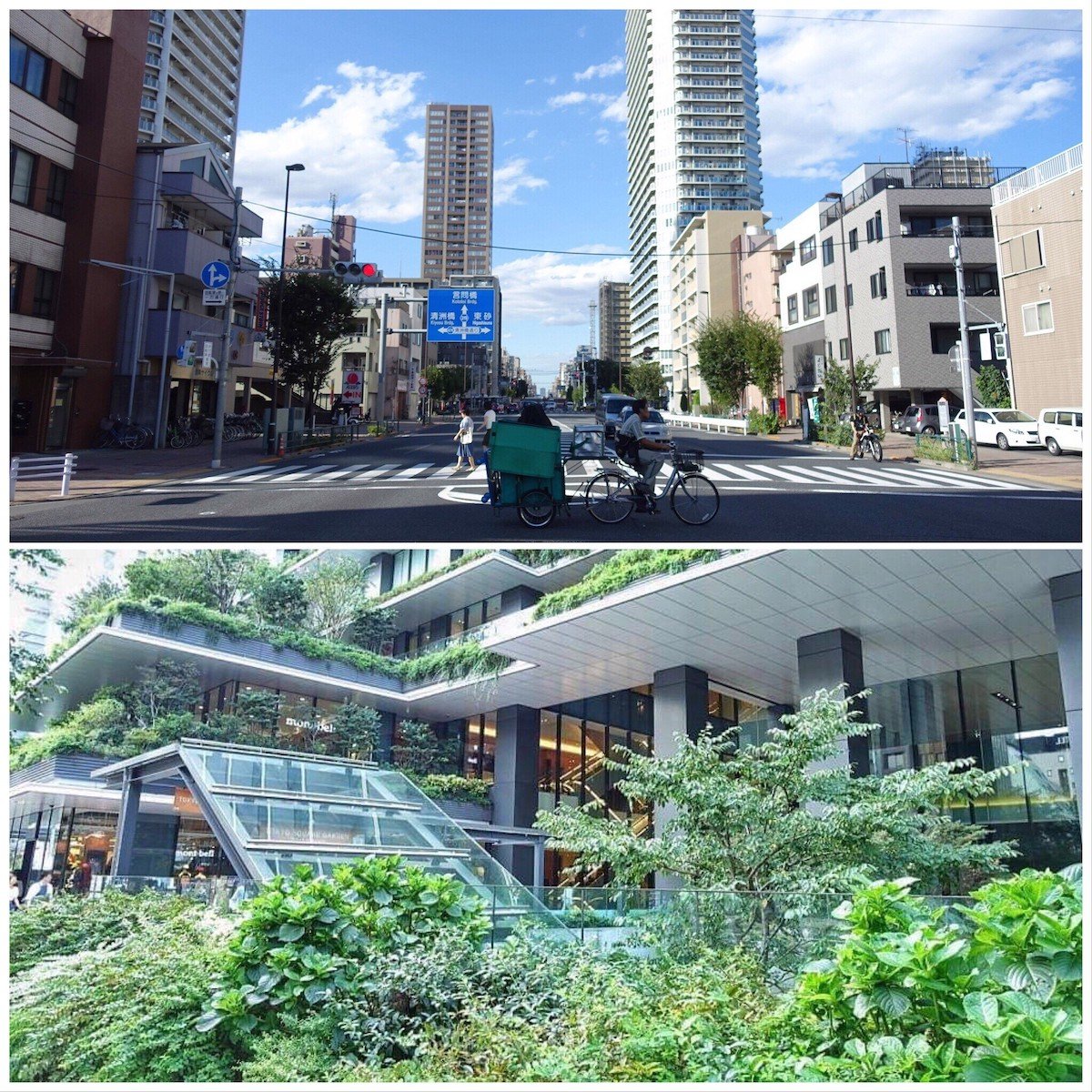 Ville Tokyo velo jardin