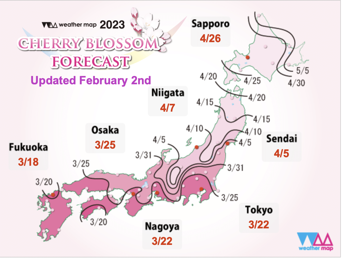 Floraison cerisier Japon carte 2023